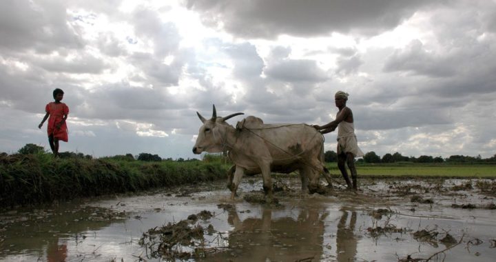 मानसून के इस साल ‘लगभग सामान्य’ रहने की उम्मीद: आईएमडी