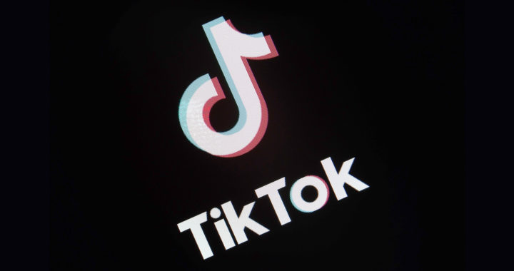 Tiktok को सुप्रीम कोर्ट से राहत, मद्रास हाई कोर्ट को 24 अप्रैल तक अंतरिम बैन पर फैसले का निर्देश
