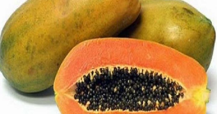 Papaya in Pregnancy: क्या गर्भावस्था में खाना चाहिए कच्चा या पका पपीता, जानिए